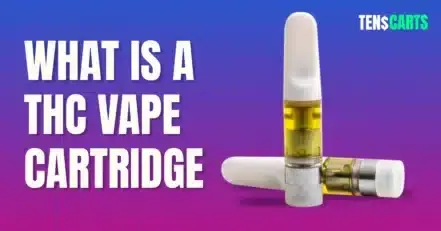 buy thc vapes